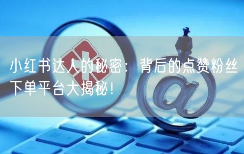 小红书达人的秘密：背后的点赞粉丝下单平台大揭秘！