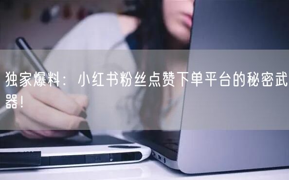 独家爆料：小红书粉丝点赞下单平台的秘密武器！