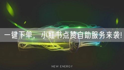 一键下单,小红书点赞自助服务来袭!