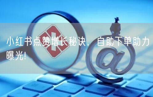 小红书点赞增长秘诀，自助下单助力曝光!