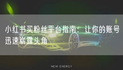 小红书买粉丝平台指南：让你的账号迅速崭露头角