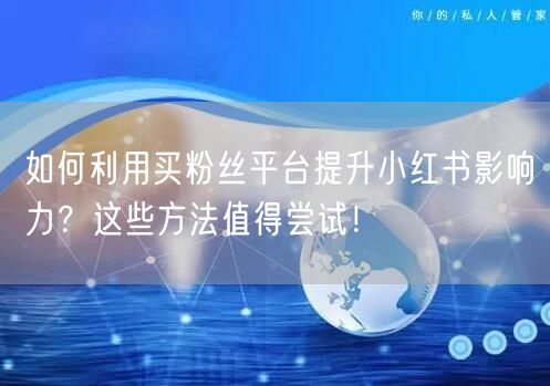 如何利用买粉丝平台提升小红书影响力?这些方法值得尝试!