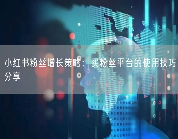 小红书粉丝增长策略:买粉丝平台的使用技巧分享