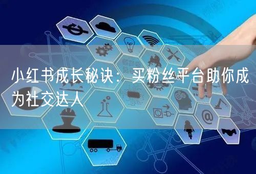 小红书成长秘诀:买粉丝平台助你成为社交达人