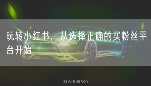 玩转小红书,从选择正确的买粉丝平台开始