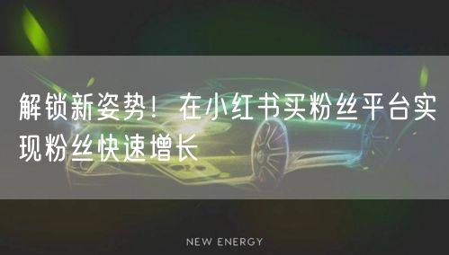 解锁新姿势!在小红书买粉丝平台实现粉丝快速增长