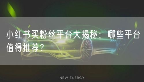 小红书买粉丝平台大揭秘:哪些平台值得推荐?