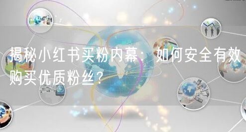 揭秘小红书买粉内幕:如何安全有效购买优质粉丝?