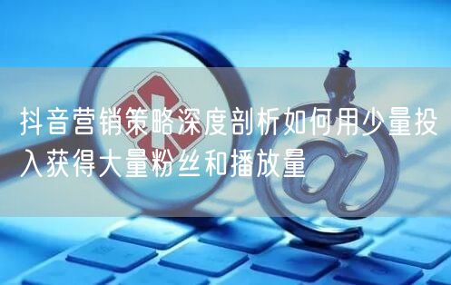 抖音营销策略深度剖析如何用少量投入获得大量粉丝和播放量