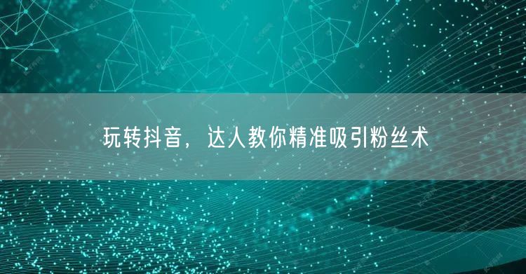 玩转抖音,达人教你精准吸引粉丝术