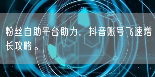 粉丝自助平台助力,抖音账号飞速增长攻略。