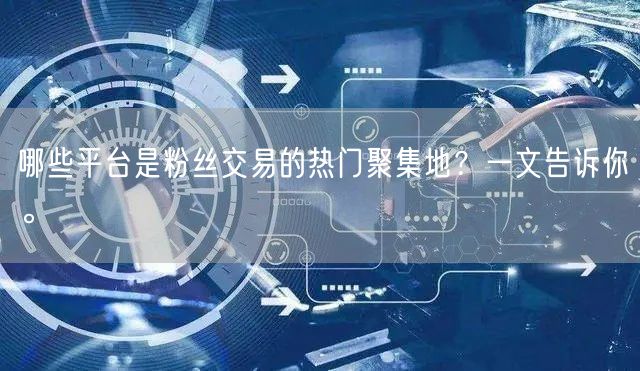 哪些平台是粉丝交易的热门聚集地？一文告诉你。