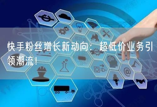 快手粉丝增长新动向：超低价业务引领潮流！