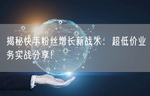 揭秘快手粉丝增长新战术：超低价业务实战分享！