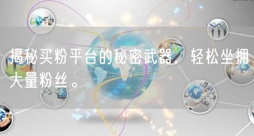 揭秘买粉平台的秘密武器，轻松坐拥大量粉丝。