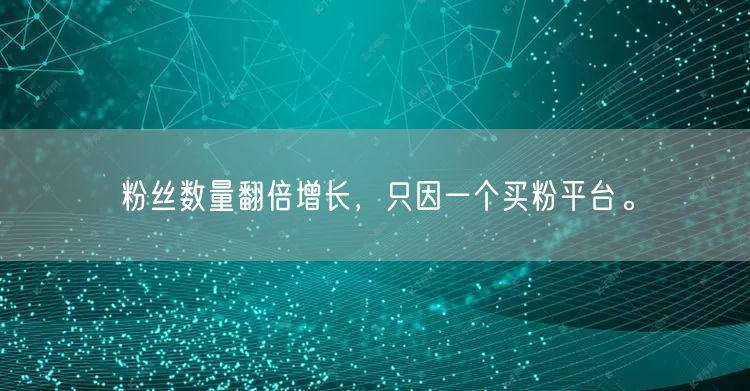 粉丝数量翻倍增长，只因一个买粉平台。