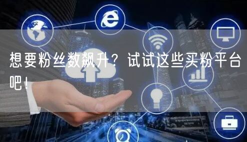想要粉丝数飙升？试试这些买粉平台吧！
