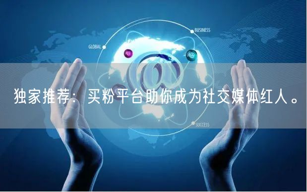 独家推荐：买粉平台助你成为社交媒体红人。