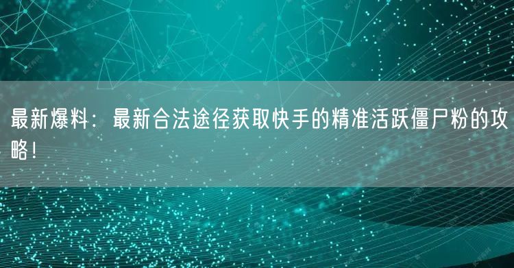最新爆料：最新合法途径获取快手的精准活跃僵尸粉的攻略！