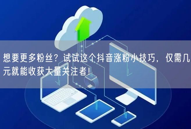 想要更多粉丝？试试这个抖音涨粉小技巧，仅需几元就能收获大量关注者！