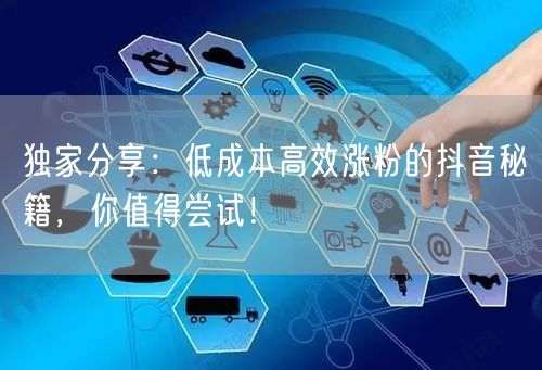 独家分享：低成本高效涨粉的抖音秘籍，你值得尝试！