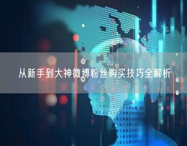 从新手到大神微博粉丝购买技巧全解析