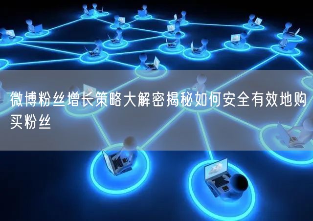 微博粉丝增长策略大解密揭秘如何安全有效地购买粉丝