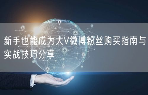新手也能成为大V微博粉丝购买指南与实战技巧分享