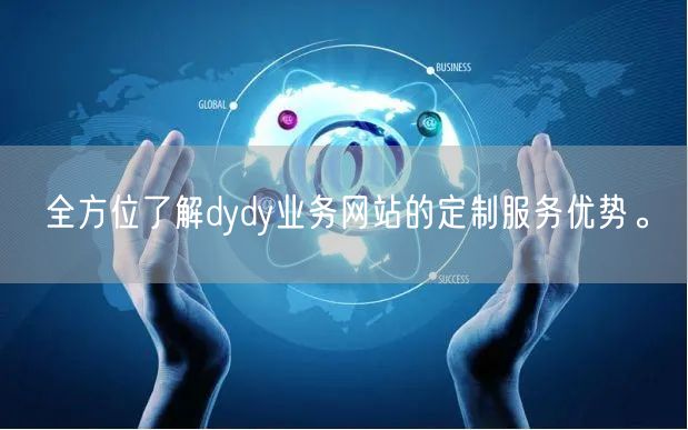 全方位了解dydy业务网站的定制服务优势。