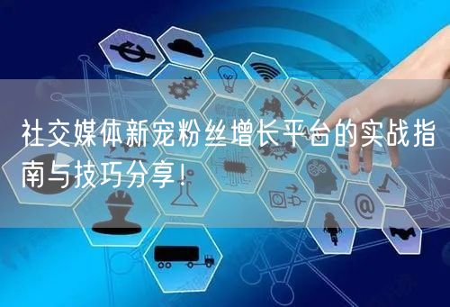 社交媒体新宠粉丝增长平台的实战指南与技巧分享!