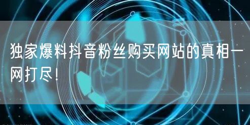 独家爆料抖音粉丝购买网站的真相一网打尽!