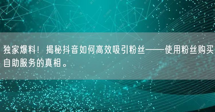 独家爆料!揭秘抖音如何高效吸引粉丝——使用粉丝购买自助服务的真相。