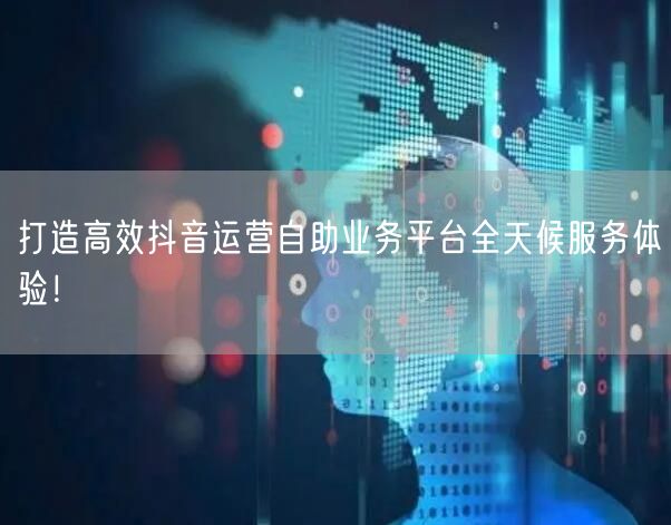 打造高效抖音运营自助业务平台全天候服务体验!