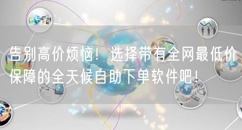 告别高价烦恼!选择带有全网最低价保障的全天候自助下单软件吧!