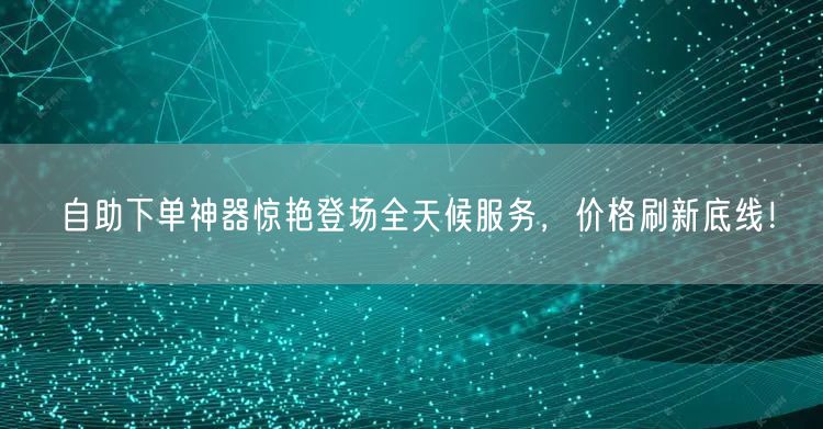 自助下单神器惊艳登场全天候服务，价格刷新底线！