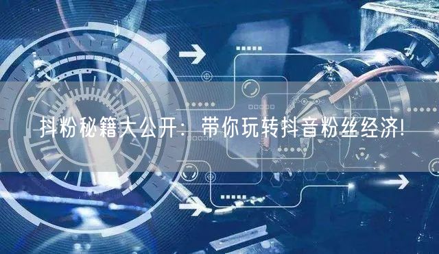 抖粉秘籍大公开：带你玩转抖音粉丝经济!