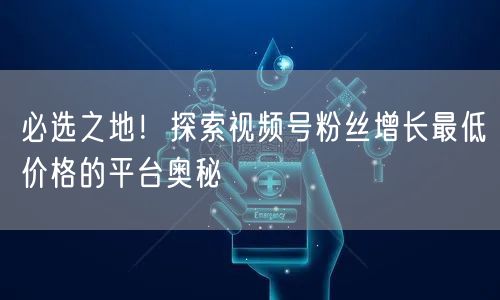 必选之地！探索视频号粉丝增长最低价格的平台奥秘