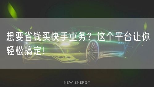 想要省钱买快手业务?这个平台让你轻松搞定!