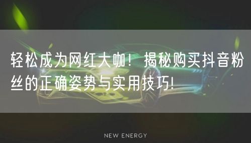 轻松成为网红大咖！揭秘购买抖音粉丝的正确姿势与实用技巧!