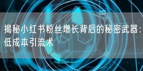 揭秘小红书粉丝增长背后的秘密武器:低成本引流术