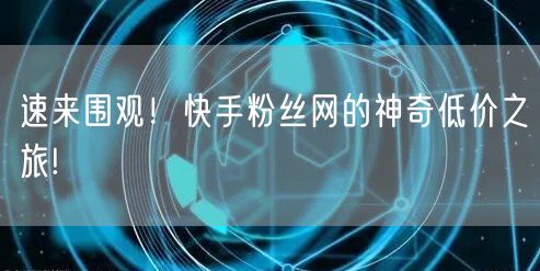 速来围观!快手粉丝网的神奇低价之旅!