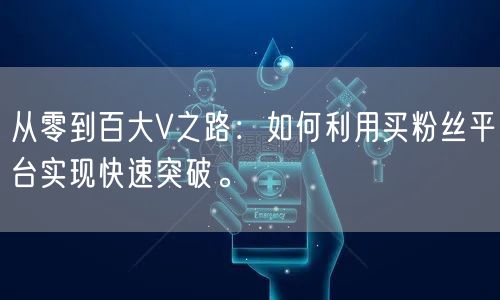 从零到百大V之路:如何利用买粉丝平台实现快速突破。