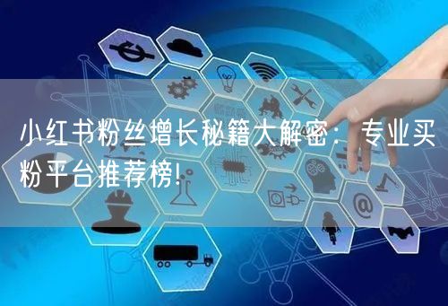 小红书粉丝增长秘籍大解密:专业买粉平台推荐榜!