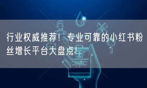 行业权威推荐!专业可靠的小红书粉丝增长平台大盘点!