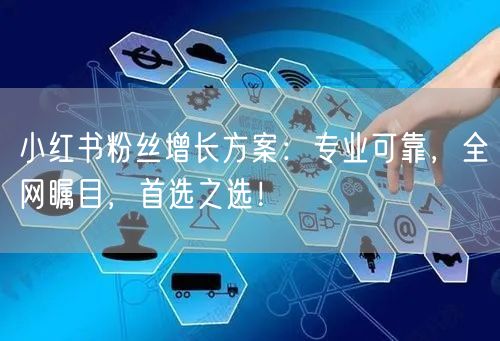 小红书粉丝增长方案:专业可靠,全网瞩目,首选之选!