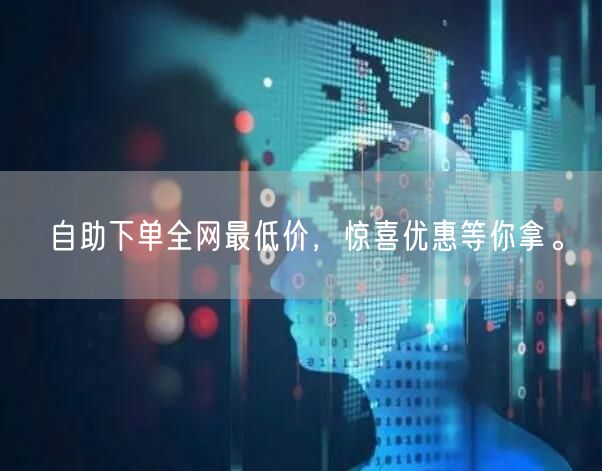 自助下单全网最低价，惊喜优惠等你拿。