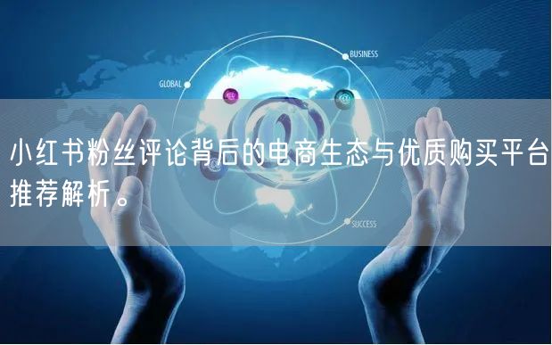 小红书粉丝评论背后的电商生态与优质购买平台推荐解析。