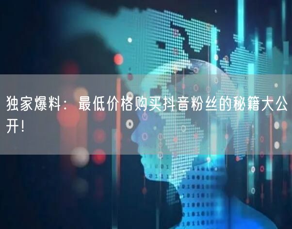 独家爆料：最低价格购买抖音粉丝的秘籍大公开！